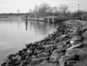 Rocky Shoreline