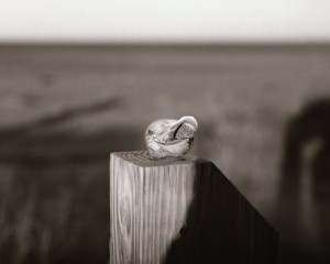 Great Kills Beach on Staten Island, NY